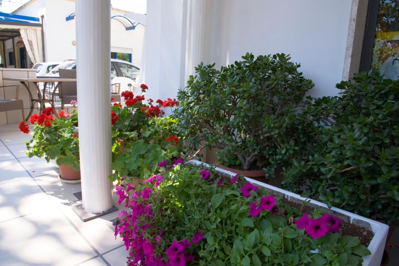 Hotel Maris Stella Riccione Exteriér fotografie